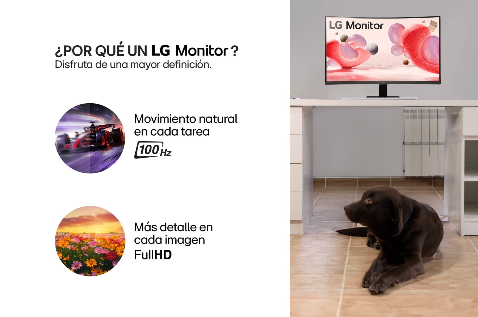 Por que Monitor LG curvo 32MR50C-B 100Hz 32